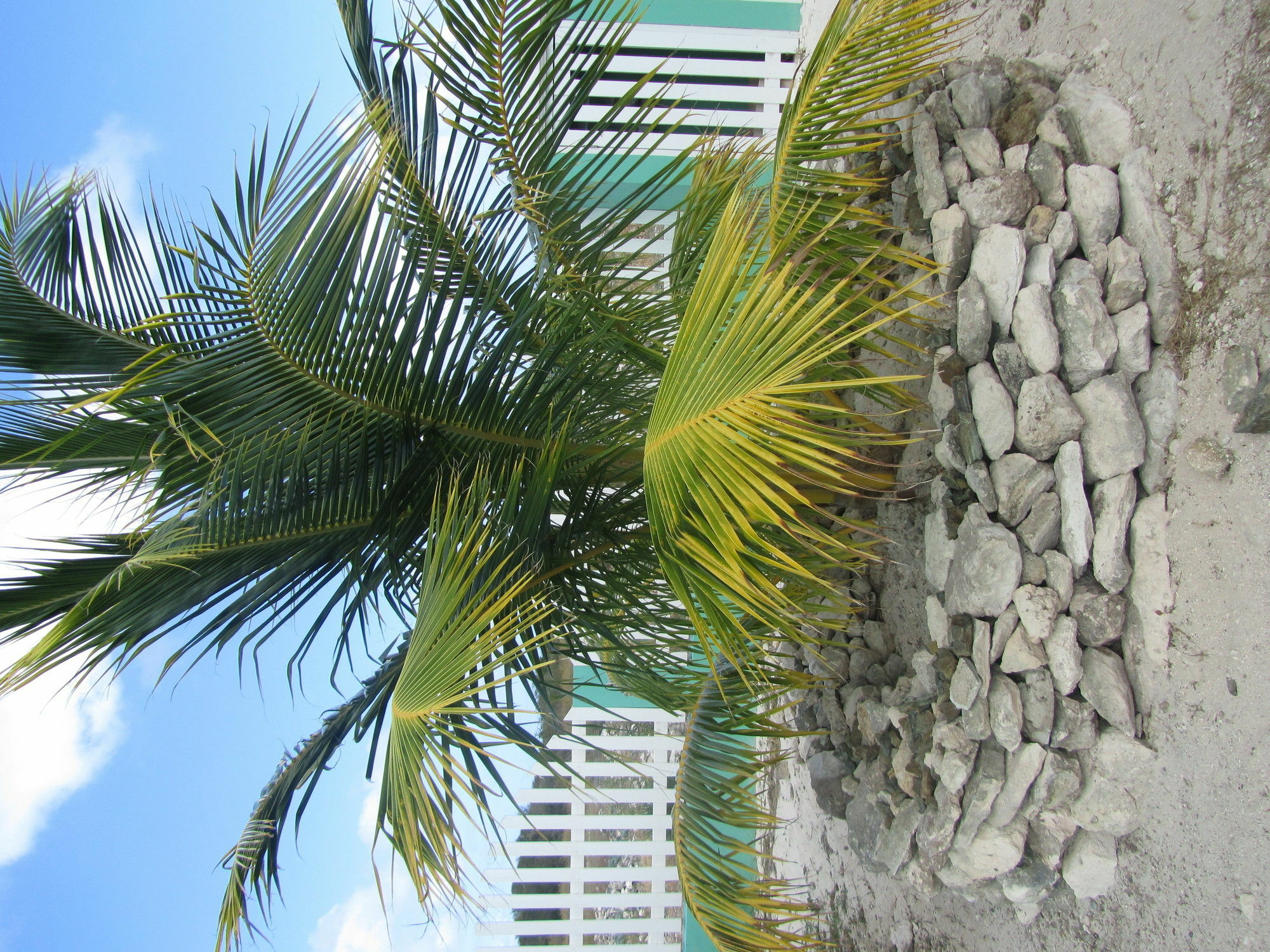 Sea Grape Villas The Settlement Exterior foto
